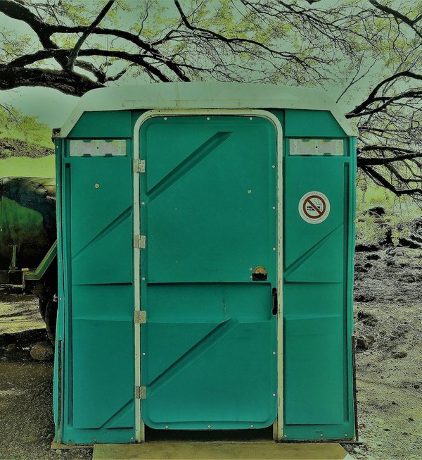 Sanitaire public écologique : à la fois économique